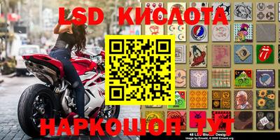 амф Новодвинск