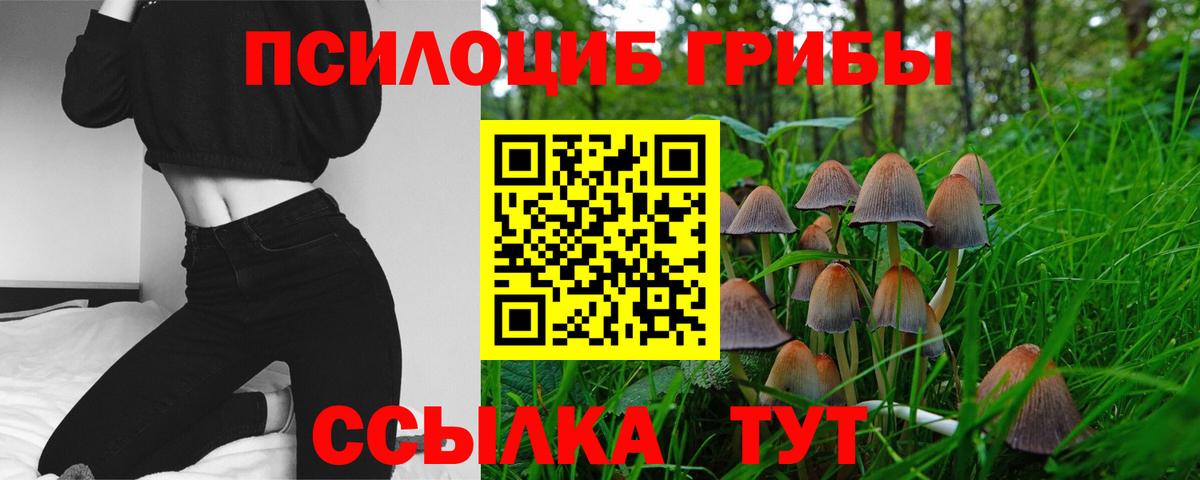 Галлюциногенные грибы Psilocybe Старая Купавна