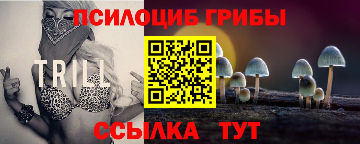 Галлюциногенные грибы мицелий  Вход с VPN  Старая Купавна 
