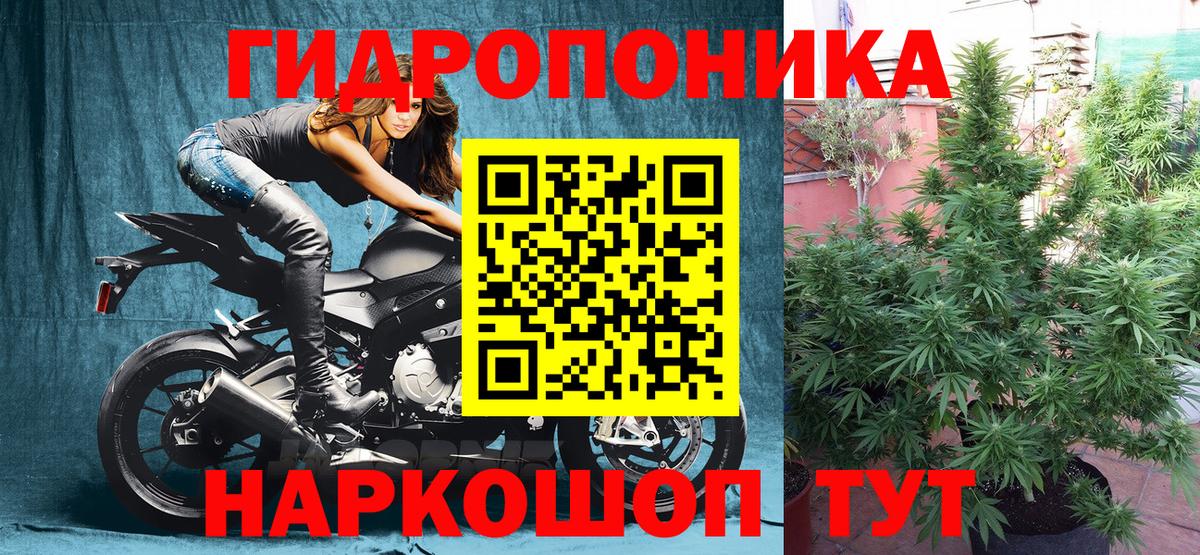 Бошки Шишки Bruce Banner Старая Купавна